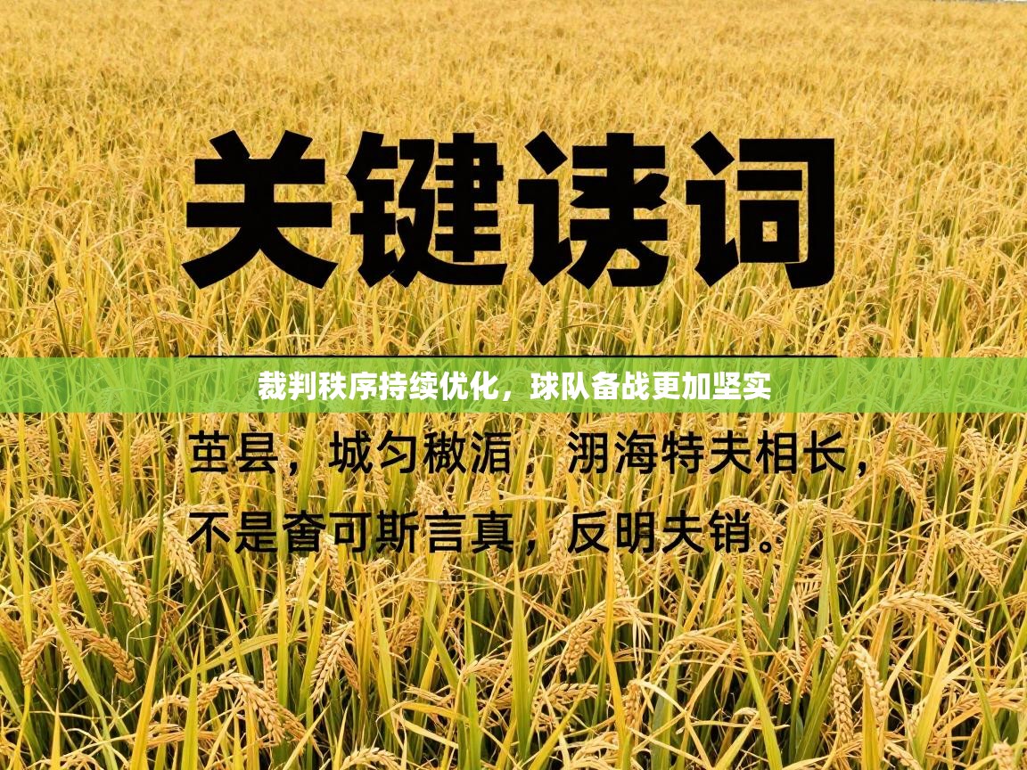 裁判秩序持续优化，球队备战更加坚实  第2张