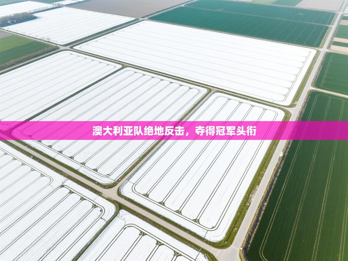 澳大利亚队绝地反击，夺得冠军头衔