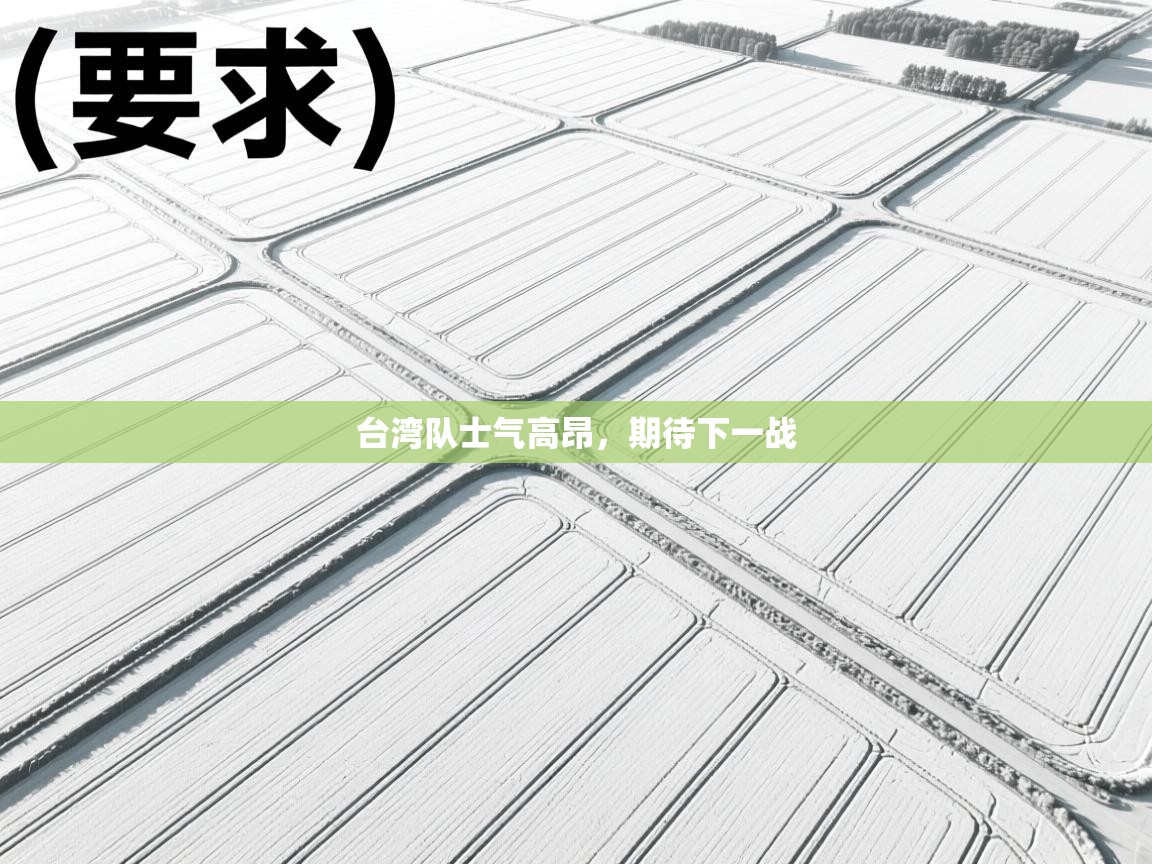 台湾队士气高昂,期待下一战 第2张