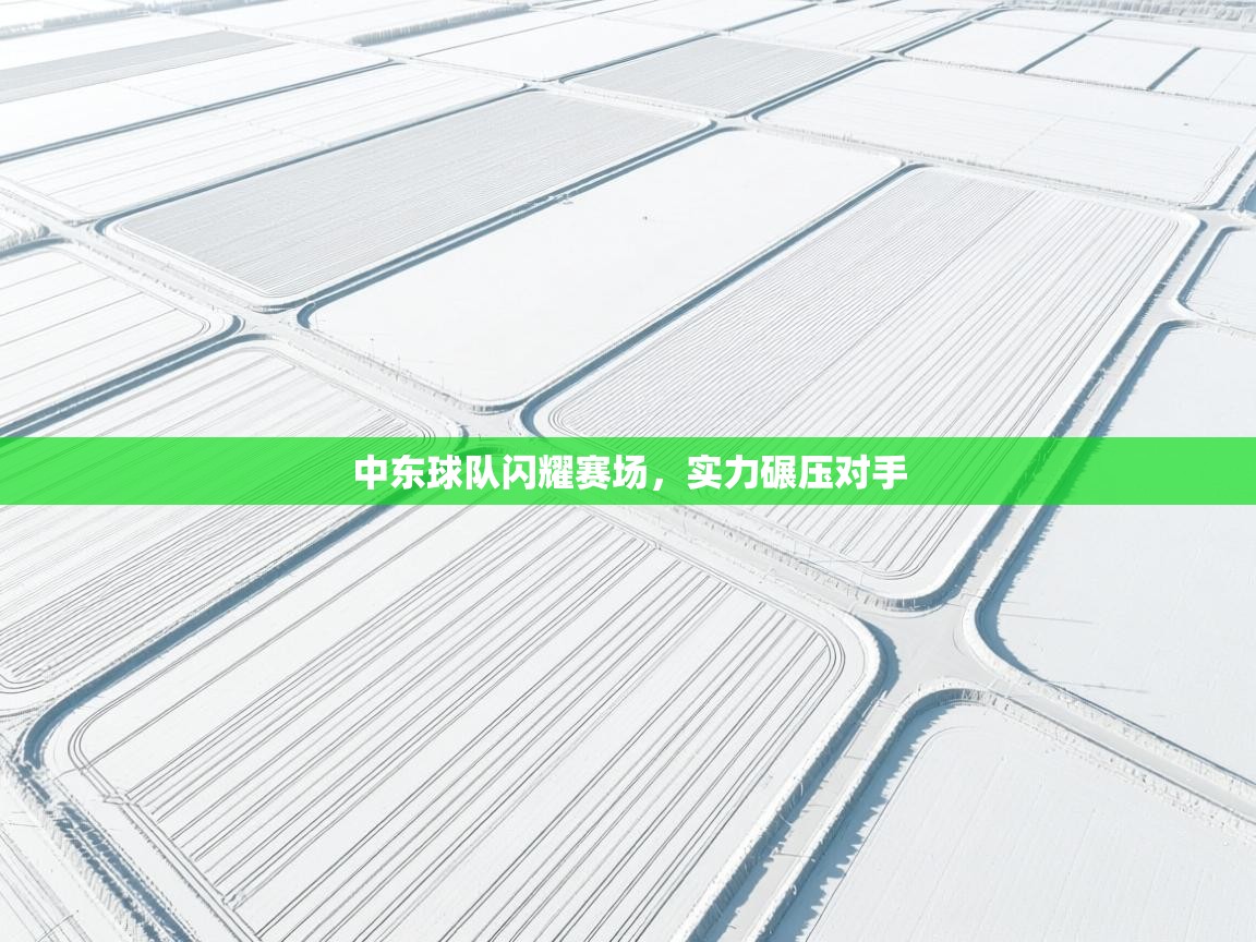 中东球队闪耀赛场，实力碾压对手  第1张