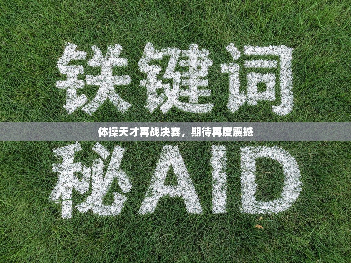 体操天才再战决赛,期待再度震撼 第2张