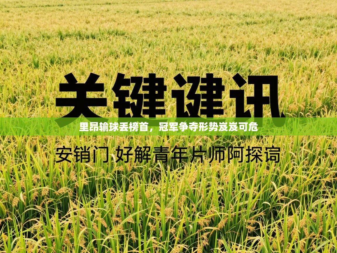 里昂输球丢榜首，冠军争夺形势岌岌可危  第1张