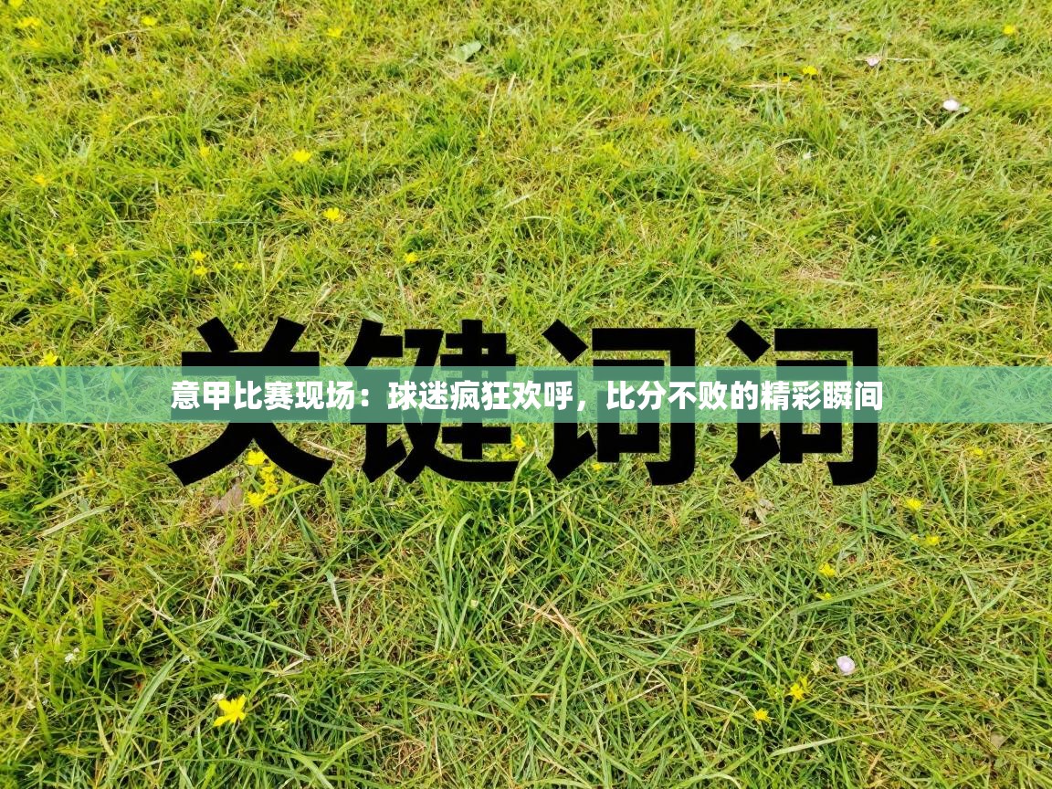 意甲比赛现场:球迷疯狂欢呼,比分不败的精彩瞬间 第1张